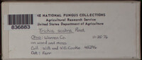 Image Associated With the Occurence